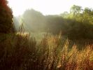 P9190016_.jpg
