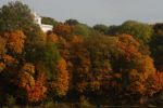 DSC_0083.jpg