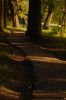 DSC_0224-1.JPG