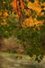 DSC_0360.JPG