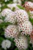 Файл : DSC_0500.JPG
Размер файла : 202KB
Размеры : 426x640
Дата добавления : Июнь 13, 2008 DSC_0500.JPG