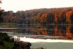 DSC_0598.JPG