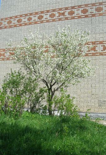 Нажать для просмотра полного размера