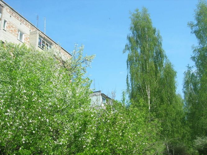 Нажать для просмотра полного размера
