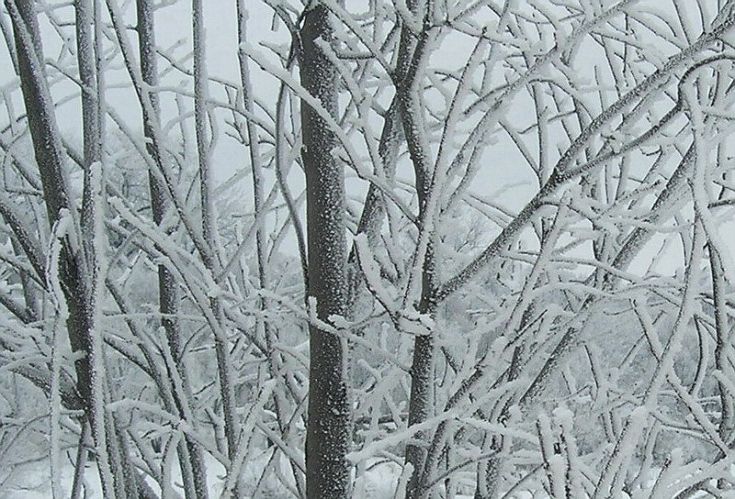 Нажать для просмотра полного размера