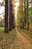 2009_park07.jpg