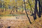 2009_park08.jpg