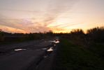 2009_zo03.jpg
