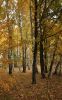 Файл : 2009_zo15.jpg
Размер файла : 405KB
Размеры : 500x800
Дата добавления : Окт 14, 2009 2009_zo15.jpg