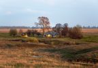 201105_alone.jpg