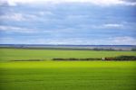 Файл : 201109_field.jpg
Размер файла : 159KB
Размеры : 800x531
Дата добавления : Февр 19, 2012 201109_field.jpg