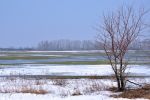 201204_beg1.jpg