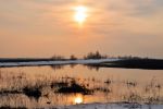 Файл : 201204_evening.jpg
Размер файла : 143KB
Размеры : 800x531
Дата добавления : Апр 18, 2012 201204_evening.jpg