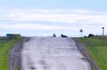 Файл : 201306_cows.jpg
Размер файла : 250KB
Размеры : 1024x665
Дата добавления : Июнь 30, 2013 201306_cows.jpg