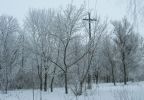 Файл : 71_02.jpg
Размер файла : 222KB
Размеры : 800x553
Дата добавления : Февр 11, 2008 71_02.jpg
