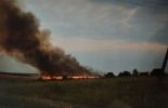 fire_2002.jpg