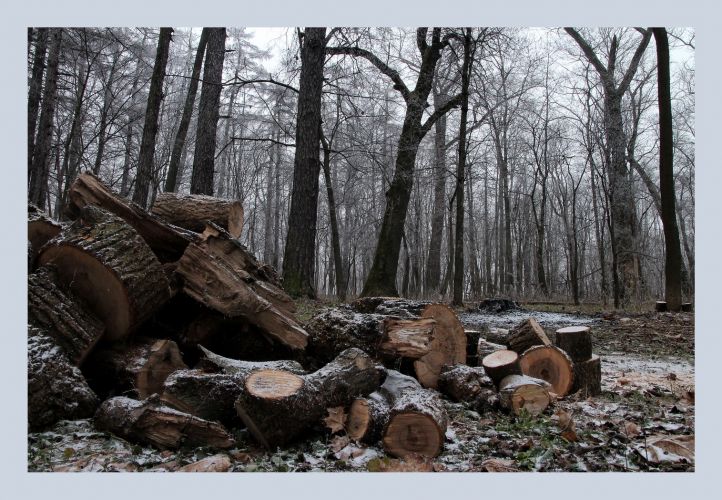 Нажать для просмотра полного размера