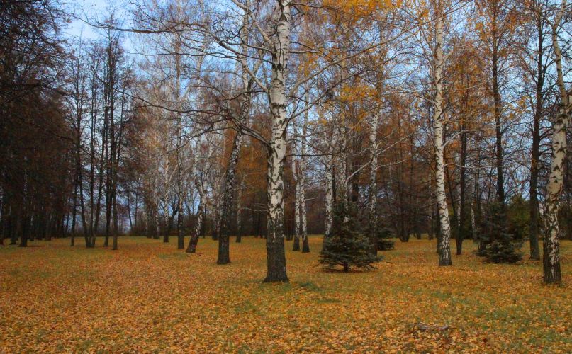 Нажать для просмотра полного размера