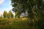 IMG_00000004754.jpg