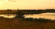 IMG_00000005221.jpg