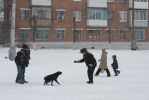 IMG_3460.jpg