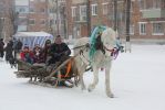 IMG_3463.jpg