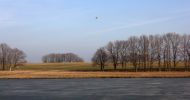 IMG_3969.jpg