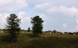 IMG_4227-3.jpg