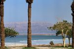 IMG_5369.JPG