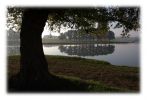 IMG_5472.jpg