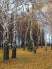 Файл : IMG_74000001.JPG
Размер файла : 829KB
Размеры : 933x1217
Дата добавления : Окт 20, 2013 IMG_74000001.JPG