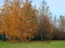IMG_740000037.JPG